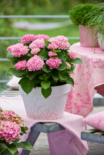 Afbeelding in Gallery-weergave laden, Mix &amp; Match | Light Pink
